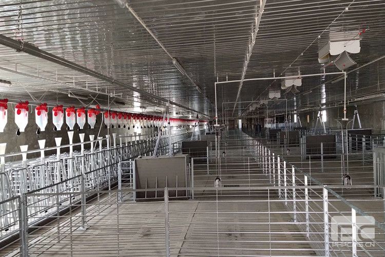 Commercial Sow Gestation Housing and Crating System