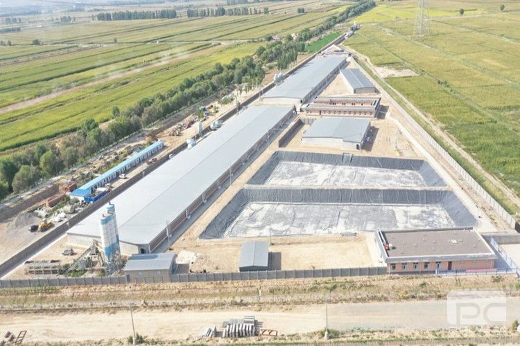 Commercial Steel Structure Pig Farm Project