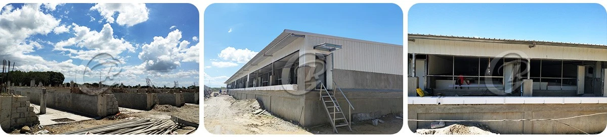 Prefabricated Steel Pig House Construction Project