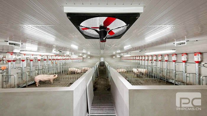 Climate-Controlled Pig Barn Interior Ventilation