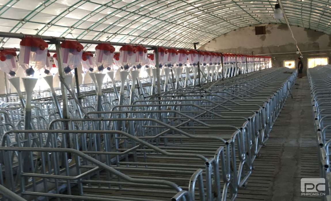 Automatic Pig Feeding System in Steel Structure Pig House