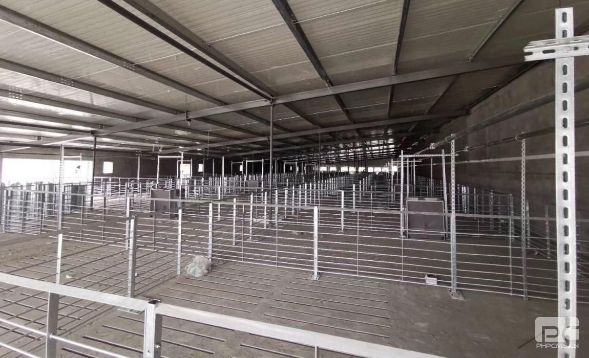 Steel Structure Pig Farm Pen Installation