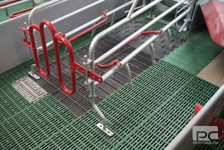 Traditional Sow Farrowing Crate