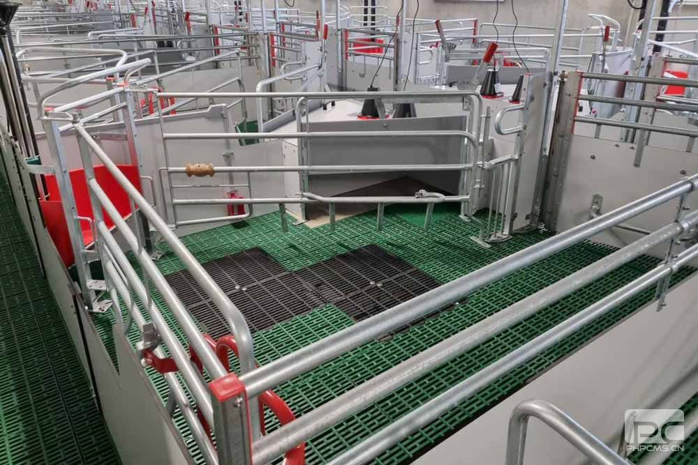 Loose Sow Farrowing Pen
