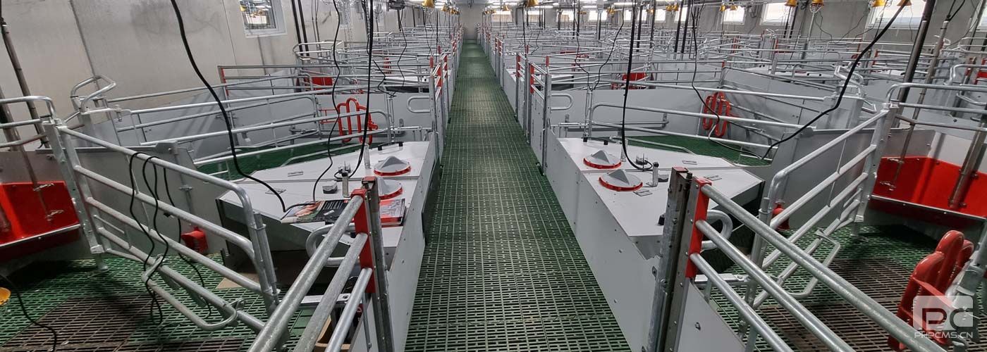 Commercial Loose Sow Farrowing Pen Installation