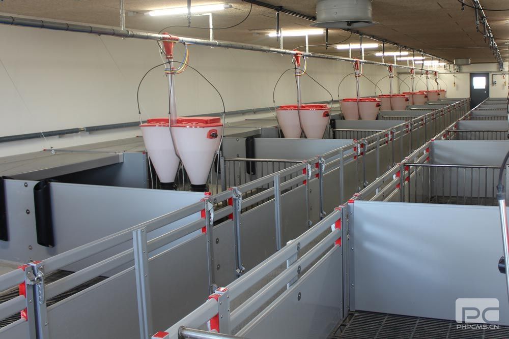 Fattening Pig Pen for Commercial Pig Farms