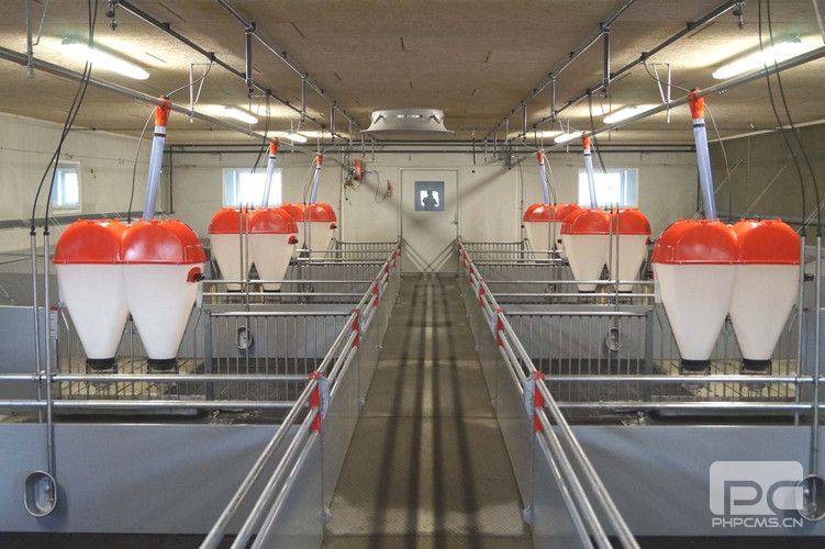Wean-to-Finish Pig Pen System