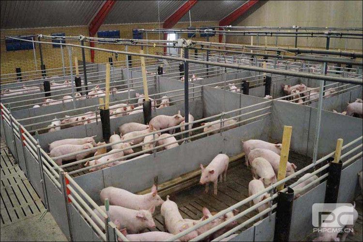 Fiber Pig Pen Partition System
