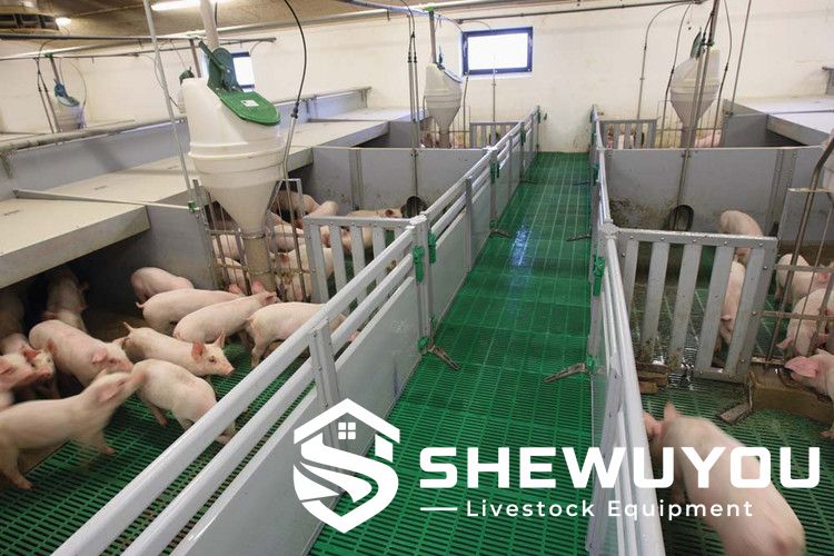 Pig Pen Partition System with Slatted Flooring