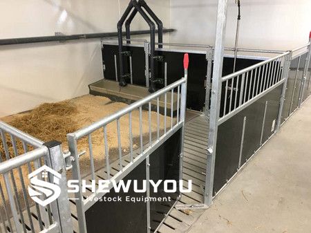 Heavy Duty Boar Pen Partition System