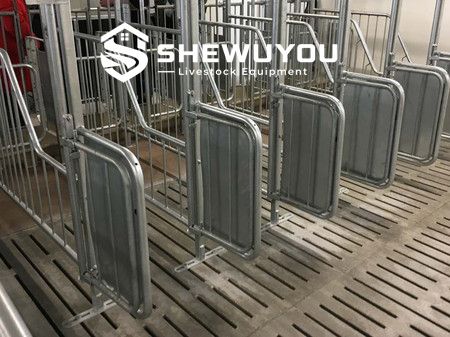 Breeding Sow and Boar Penning Equipment