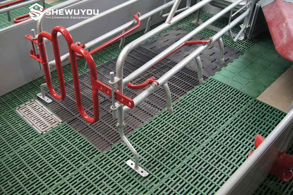 Plastic Slatted Flooring in Farrowing Pen