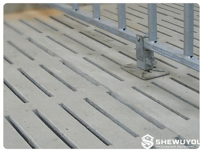 Commercial Pig House Concrete Slat Floor