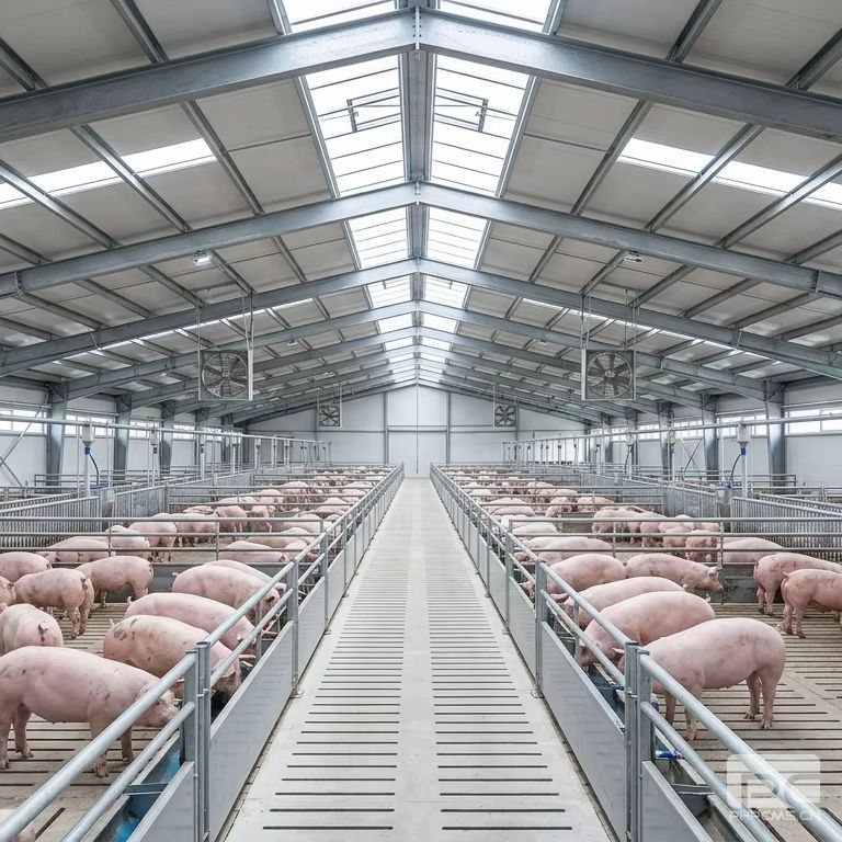 Galvanized Steel Structure Pig House Interior