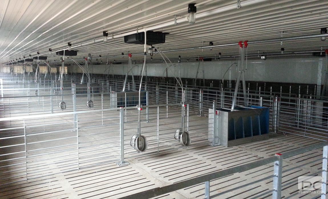 Light Steel Pig House Slatted Floor and Pen Layout
