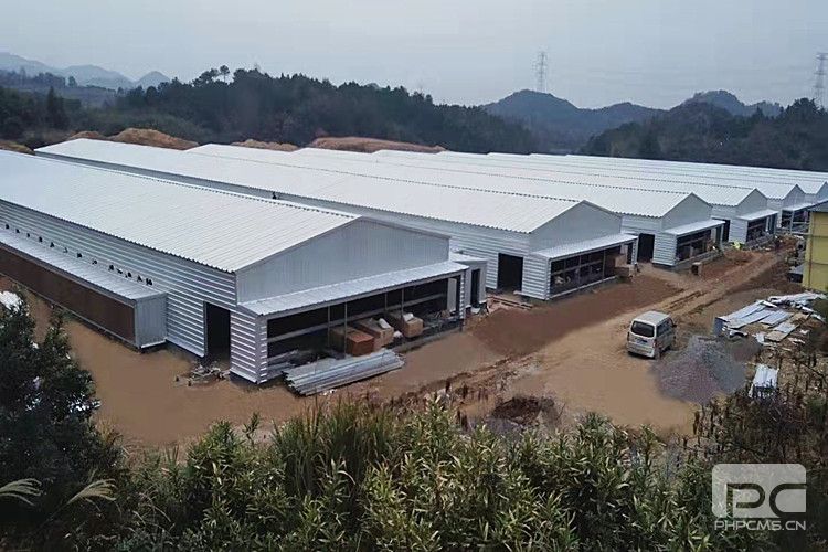 Commercial Steel Structure Pig House | Prefabricated Swine Farm Building