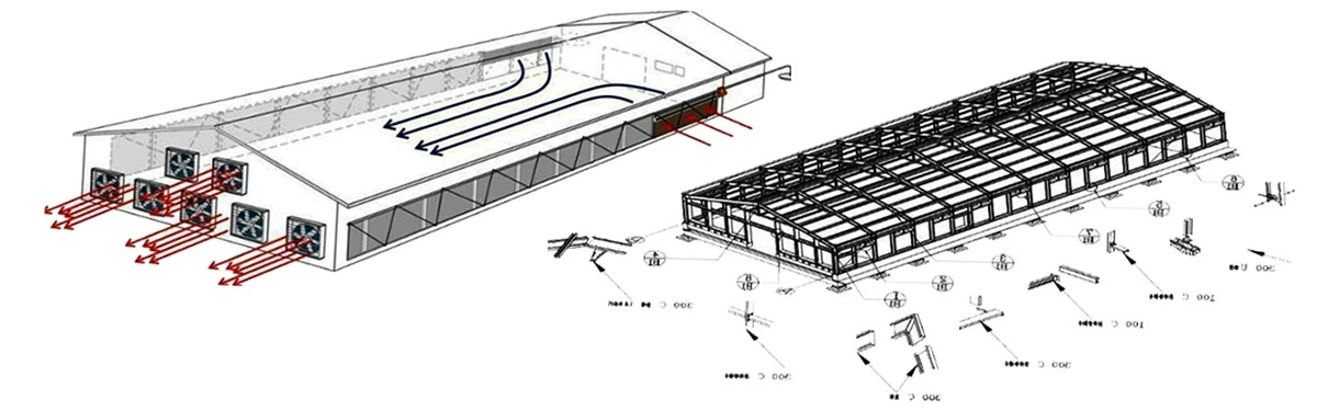 Steel Structure Pig House Ventilation Design