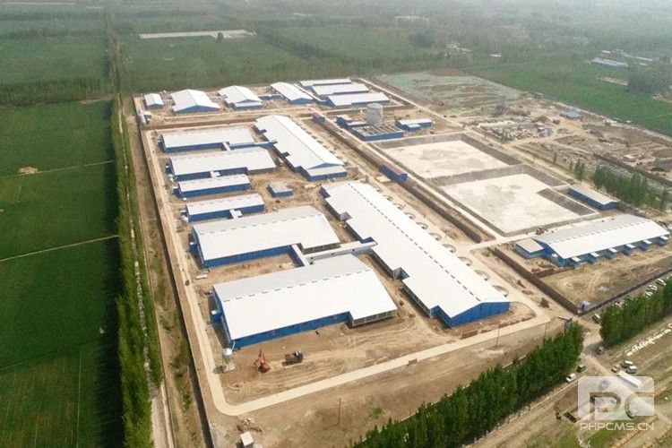 Commercial Pig Farm Steel Building Project