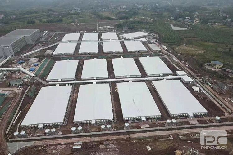 Large Scale Steel Structure Pig Farm