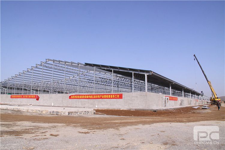 Steel Structure Pig House Construction Frame