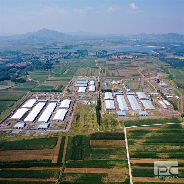 PU Sandwich Panel Insulated Pig House | Steel Structure Commercial Pig Farm