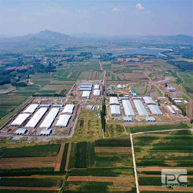 PU Sandwich Panel Insulated Pig Farm Project