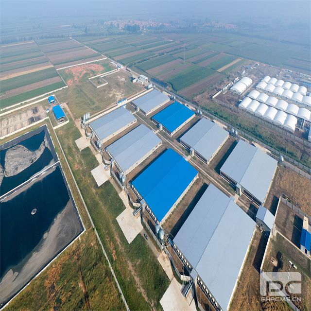 Light Steel Structure Pig Farm with Insulated Roof Panels
