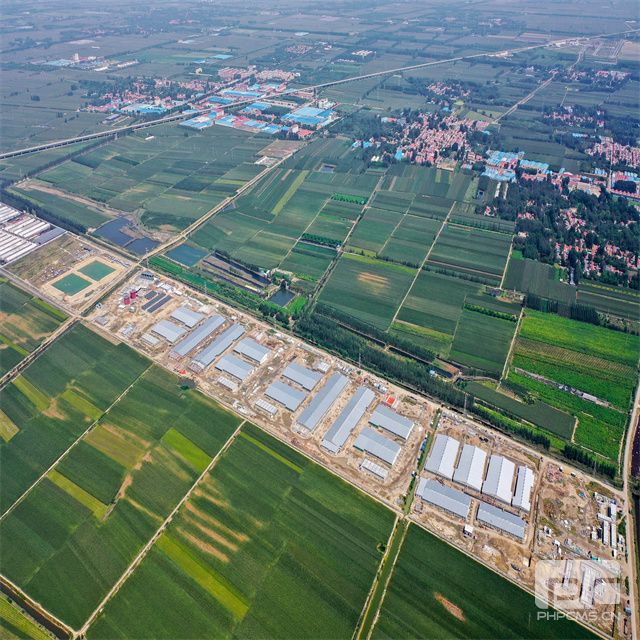 Large Commercial PU Insulated Pig Farm Project