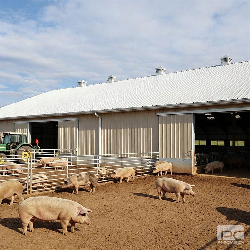 Commercial Steel Pig Farm Building Exterior