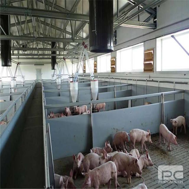 Modern Steel Structure Pig House with Automated Feeding