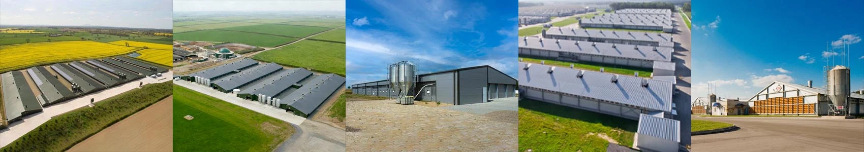 Insulated Steel Pig Farm Project