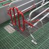 Sow Farrowing Crates