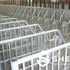 Sow Farrowing Crates