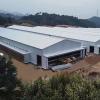 Commercial Steel Structure Pig House