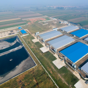 Light Steel Structure Pig House | Prefabricated Commercial Pig Farm Building - SHEWUYOU Livestock Equipment
