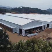 Commercial Steel Structure Pig House | Prefabricated Swine Farm Building - SHEWUYOU Livestock Equipment