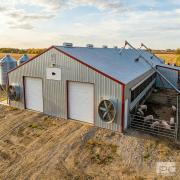 Insulated Steel Structure Pig House - SHEWUYOU Livestock Equipment