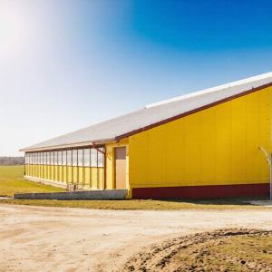 Steel Structure Boar & Breeding Pig House