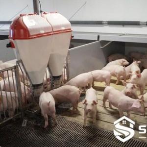 Weaner Pen Climate Cover - SHEWUYOU Livestock Equipment