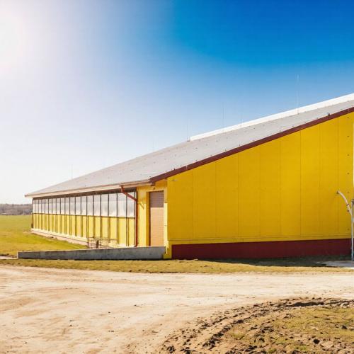 Steel Structure Boar & Breeding Pig House - SHEWUYOU Livestock Equipment