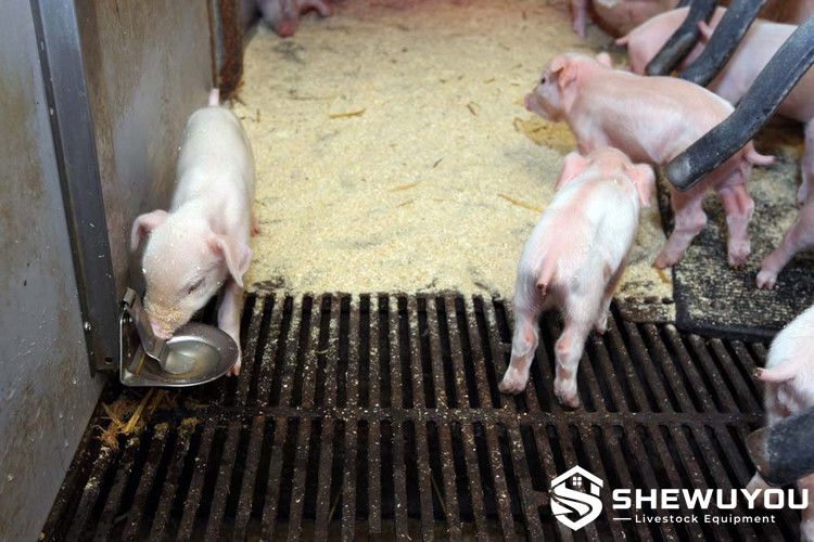 Cast Iron Slatted Floor for Sows