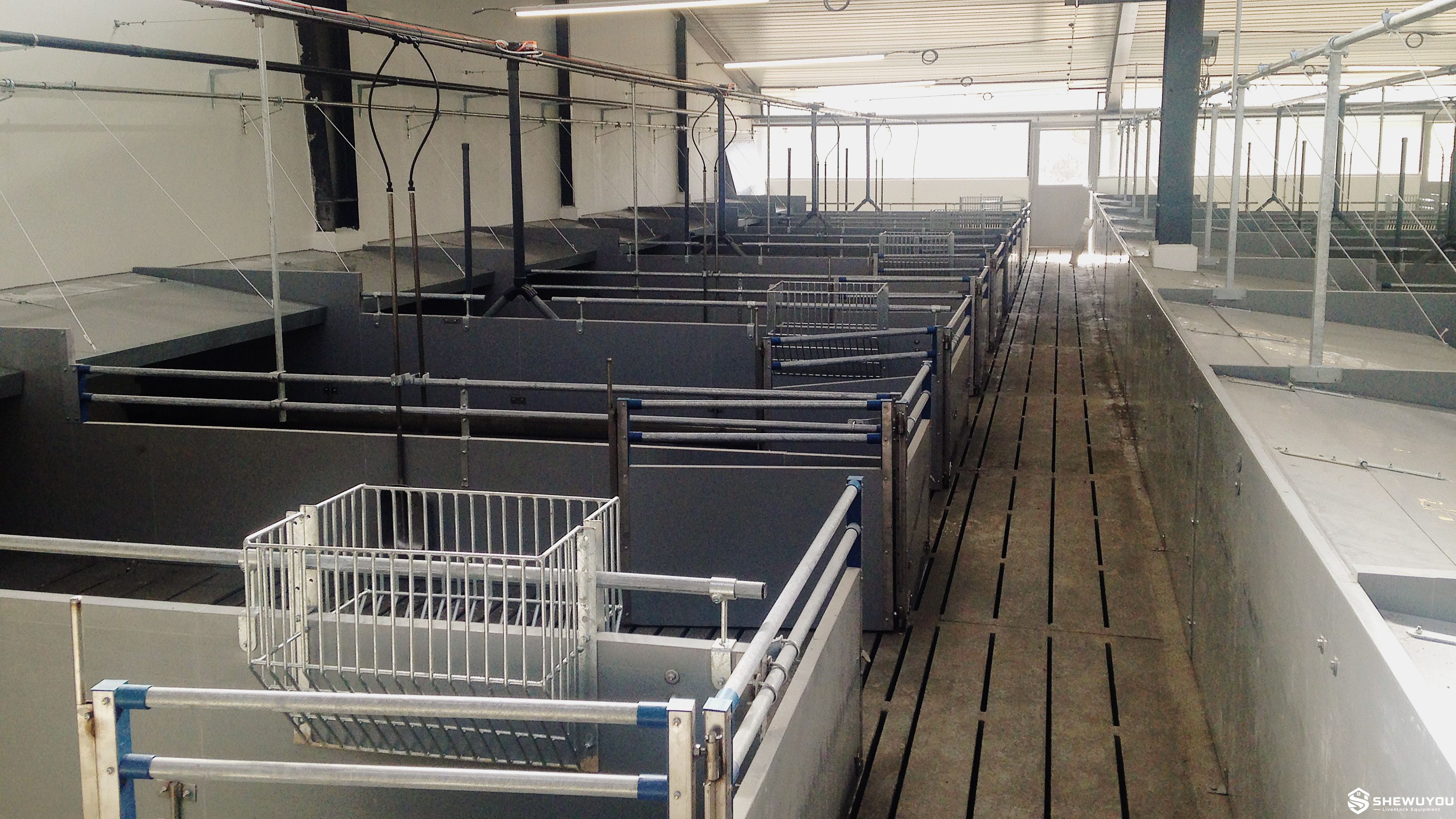Fattening Pig Pen for Commercial Pig Farm