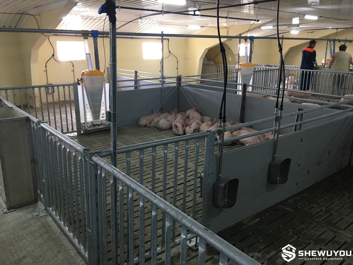 commercial piglet nursery pen with slatted floor