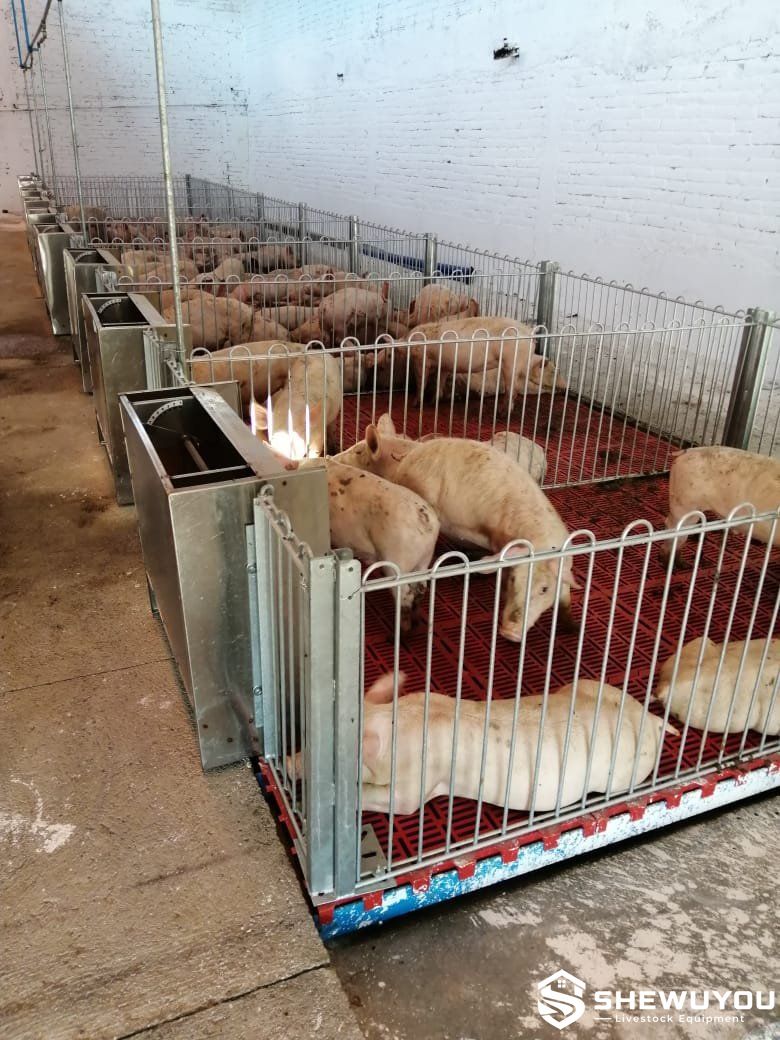 Galvanized Steel Weaner Pen with Slatted Floor
