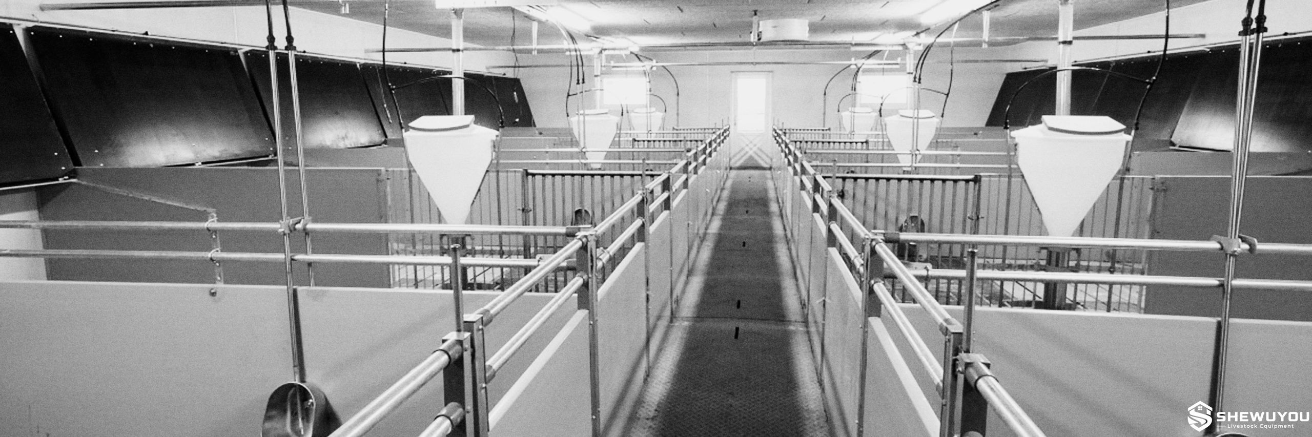 modular piglet nursery pen with solid and open partitions
