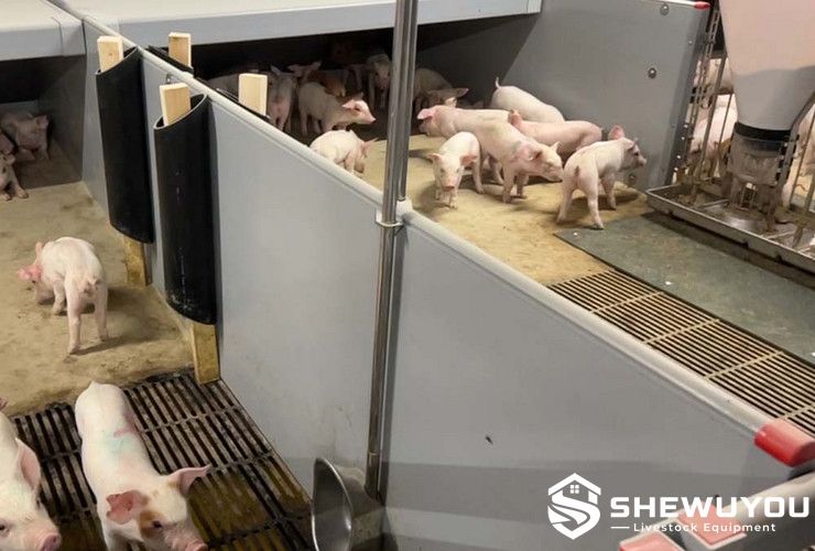 open and closed piglet nursery pen system