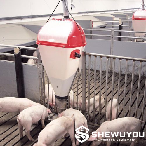 Nursery Pen with Dry Feeding System