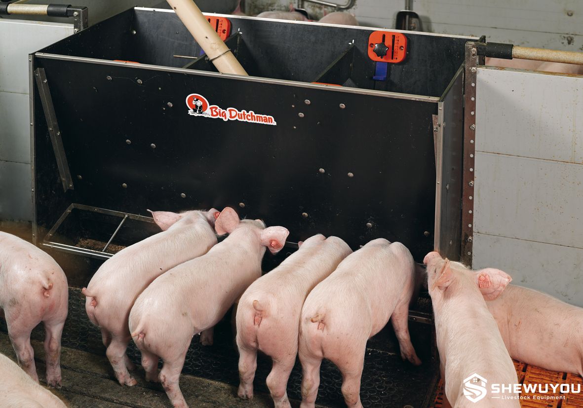 nursery pig feeder and slatted floor system