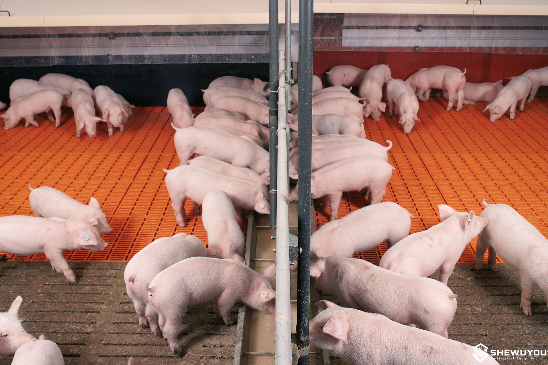 piglet nursery pen with plastic slat flooring
