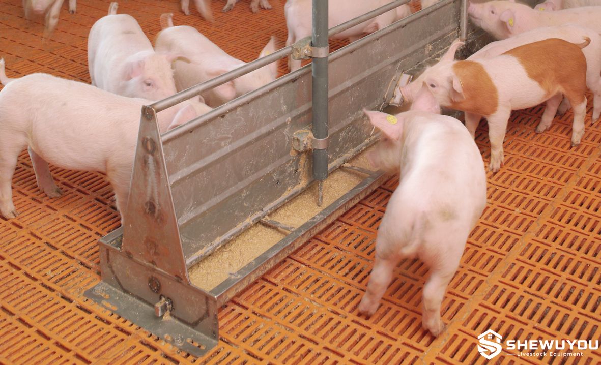 commercial weaner pen plastic slatted floor